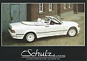 Schulz_Mercedes-190-Cabrio.jpg