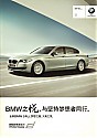 BMW_5-Li_2010.JPG